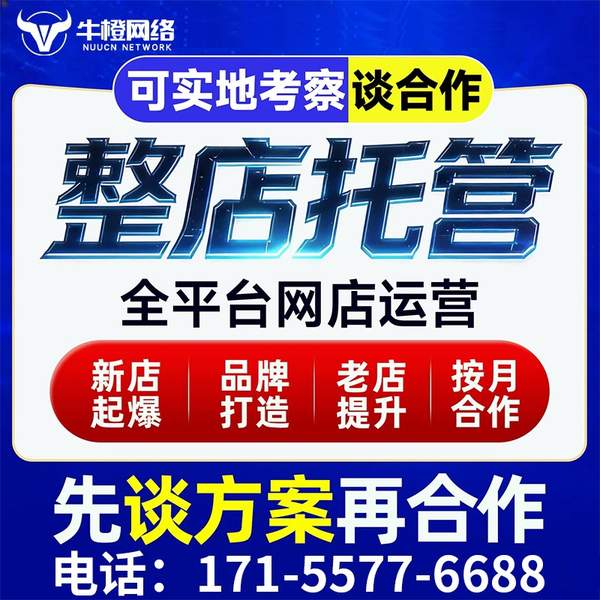 东营电商代运营