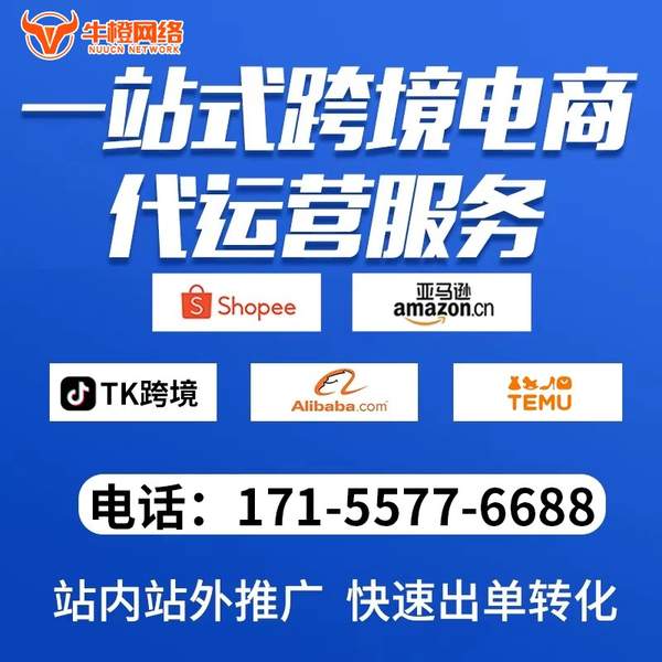 东营电商代运营